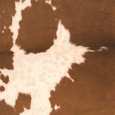 where to buy cowhide material